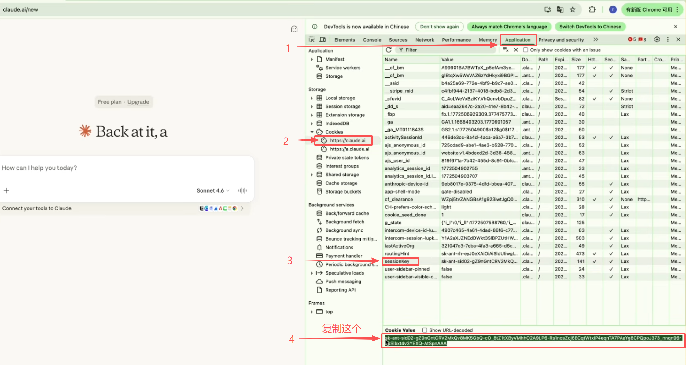 获取 sessionKey 图文教程：F12 → Application → Cookies → sessionKey